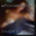 Cougars Maryville, wanting
